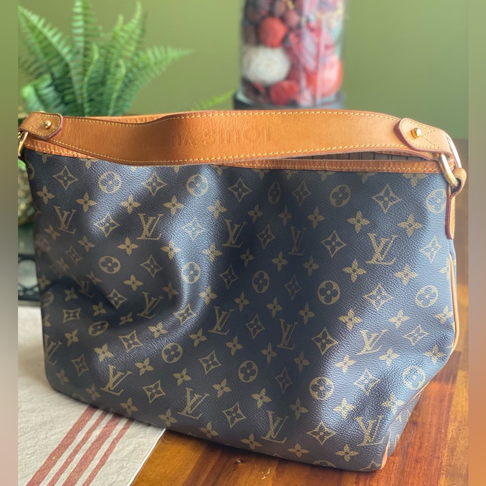 Authentic Monogram Louis Vuitton Delightful Shoulder Bag - Picture 3 of 16